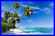 VINYL Photo Wallpaper XXL WALLPAPER Beach Ocean Palms 498