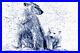 VINYL photo wallpaper XXL WALLPAPER animals polar bears nature 620